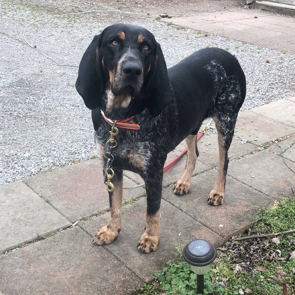 Meet your Buyer/seller/trader 🤗🤗 - Picture 5 of 10